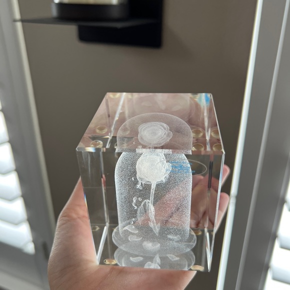 Crystal Rose in case Disney beauty and the beast image - Picture 3 of 10